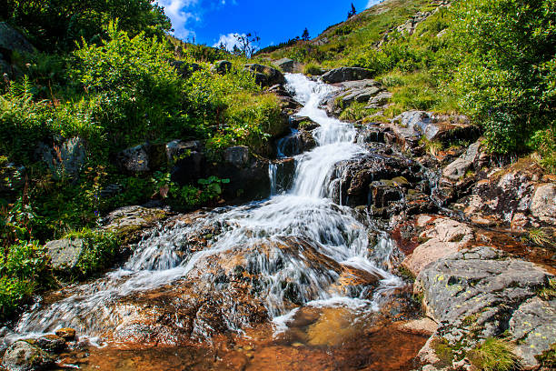 Waterfall Labsky waterfall is the one of famous waterfall in Czech republic elbe river stock pictures, royalty-free photos & images