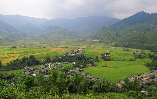 istock Hmong village between the rice fields in Sapa 487974160