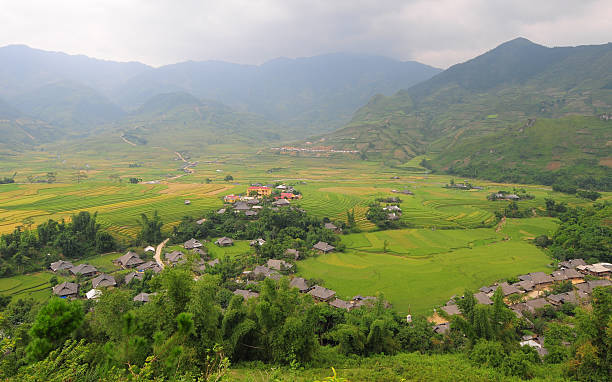 istock Hmong village between the rice fields in Sapa 487974606