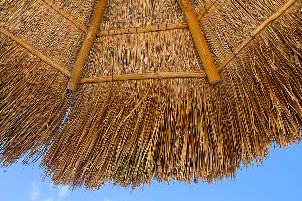 Straw roof of beach umbrella and blue sky stock photo