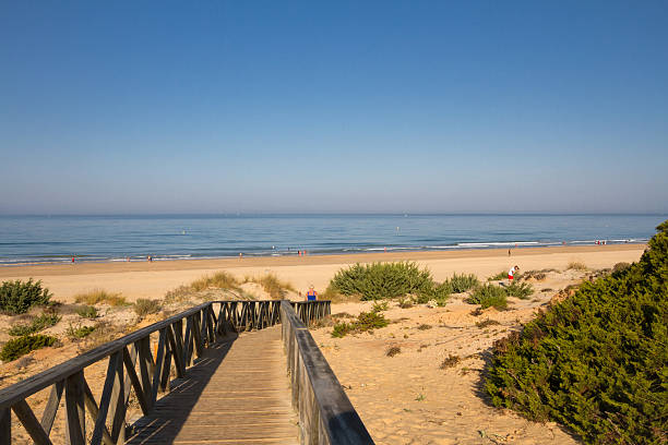 novo santo petri beach, costa de la luz, españa - costa de la luz fotografías e imágenes de stock