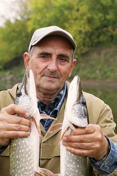 istock old fisherman and his catch - two pikes 487978954