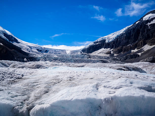 istock Athabasca Glacier scenic, Jasper National Park, Alberta, Canada 487980350