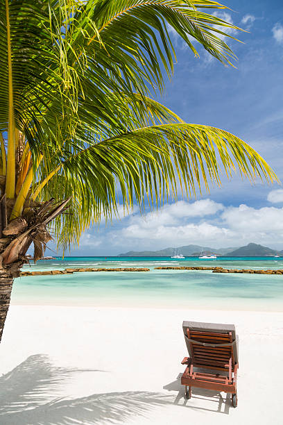 istock Chair at Perfect Beach in La Digue, Seychelles 487981846