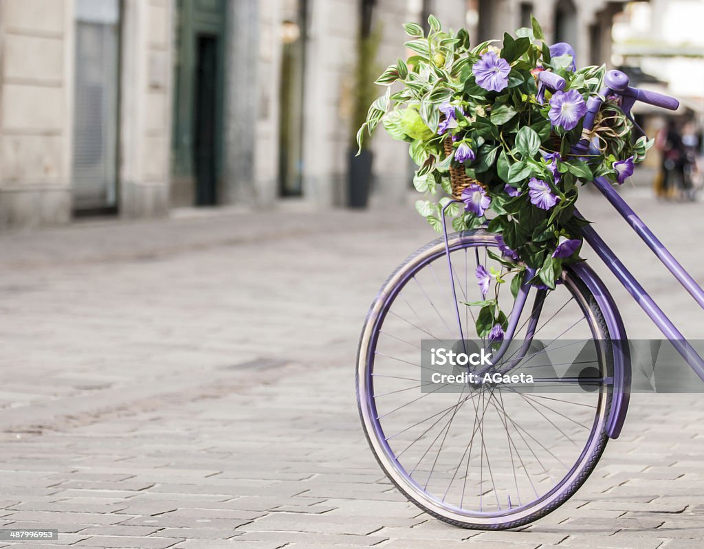 Milan, bicycle. Milan, bicycle. Purple bicycle with basket full of flowers in the same color as Milan city. Bicycle Stock Photo