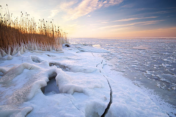 paisaje de invierno. - frozen cold lake reed fotografías e imágenes de stock