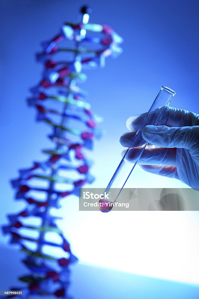 Genética projecto do genoma com tubo de ensaio de Amostras de ADN na Vertical - Royalty-free Modelo de Hélice Foto de stock