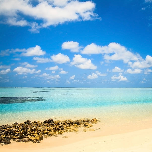 istock beautiful tropical beach with stove benches, Maldives 487999039