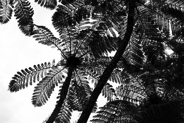 Fresh green leaf textures. Lush foliage background. Natural green leaves backdrop. Beauty of nature. Summer gardening.