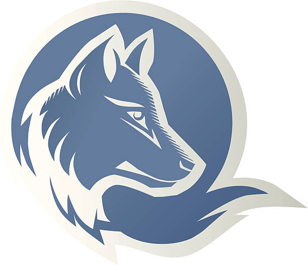full moon blue muzzle of a wolf on a background of the moon round wolf snout pictures stock illustrations
