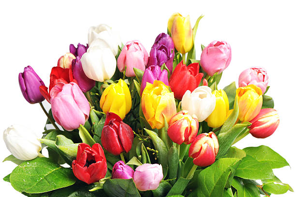 istock bouquet of colorful tulips 488000037