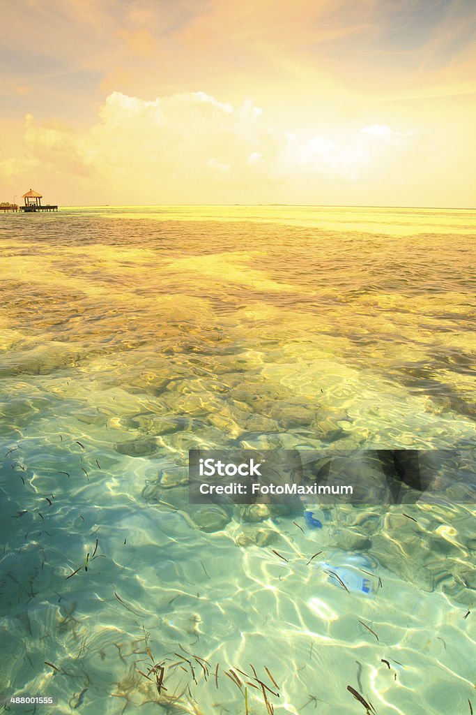 Tropical blue sea water Tropical blue sea water in Maldives Backgrounds Stock Photo