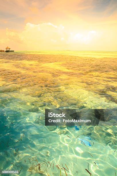 Tropical Blue Sea Water Stock Photo - Download Image Now - Backgrounds, Beach, Blue