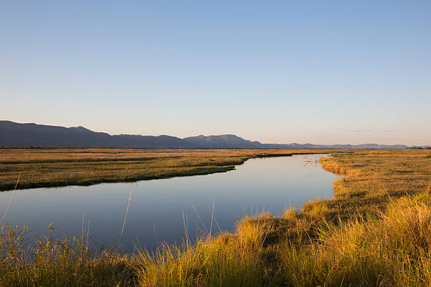 istock The Zambezi River at sunset 488002064