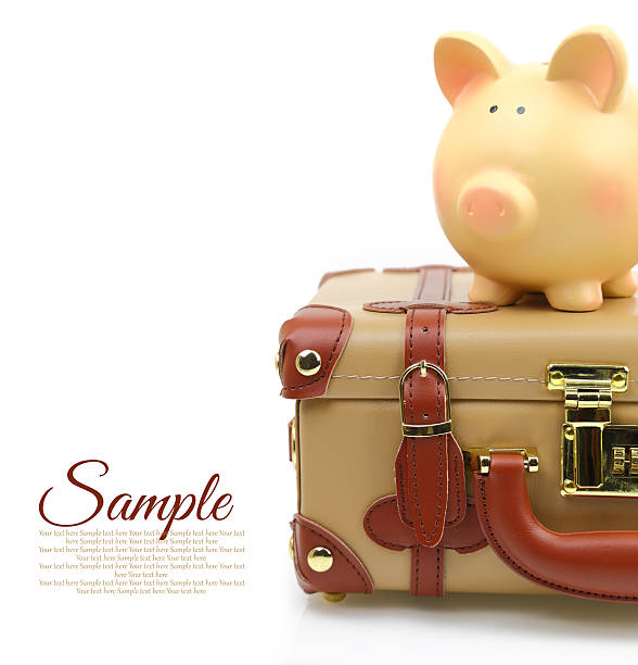 istock Brown suitcase with piggy bank and copy-space 488002219