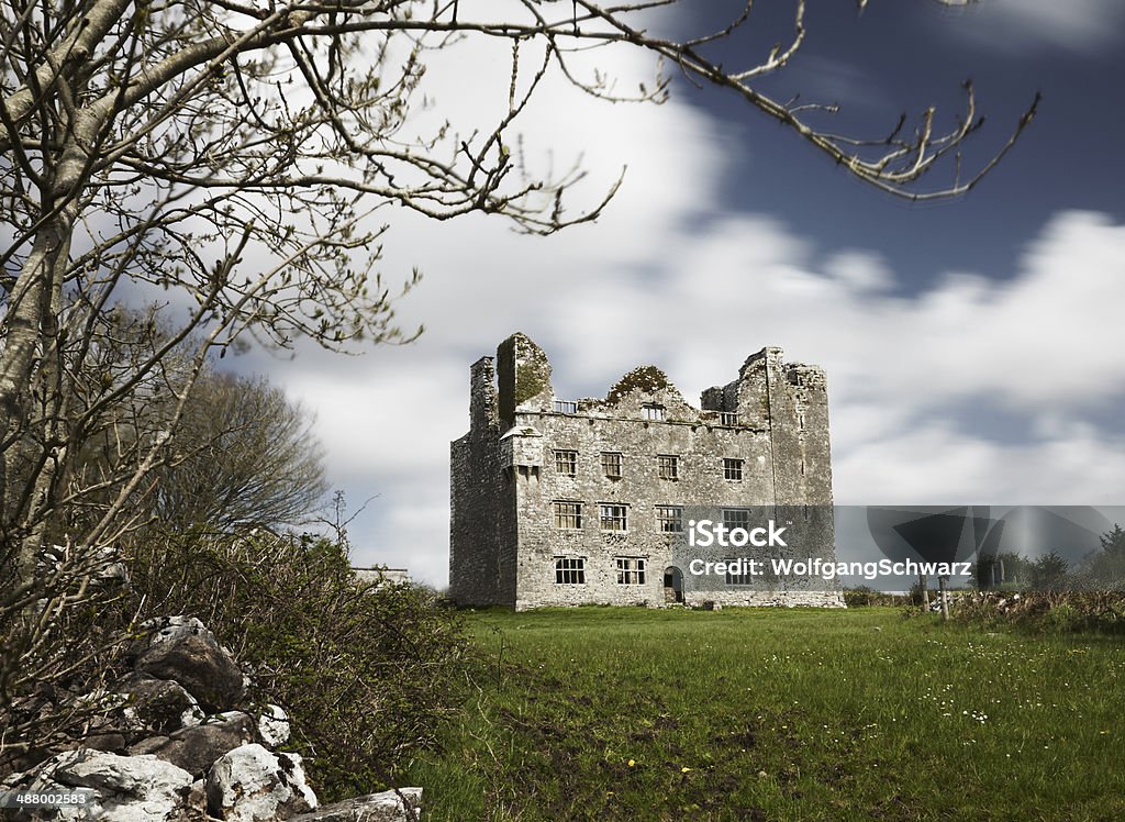 Irischen Castle - Lizenzfrei Schlossgebäude Stock-Foto