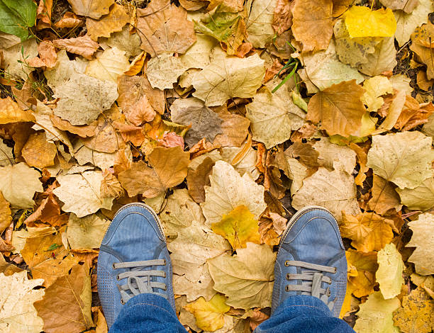 istock Feet on a background of leaves. 488003286