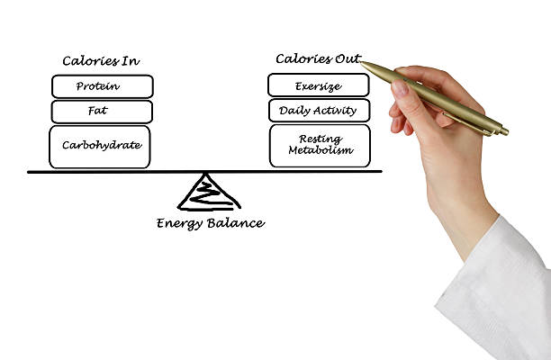 balance zwischen energie eingangs und ausgaben - intake of energy stock-fotos und bilder
