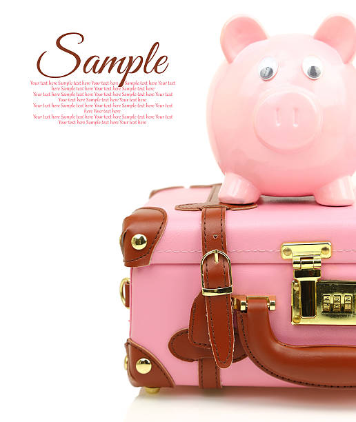istock Pink suitcase with piggy bank and copy-space 488004819