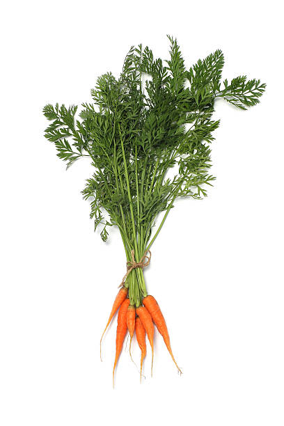 istock Bunch of fresh carrot isolated on white 488005220