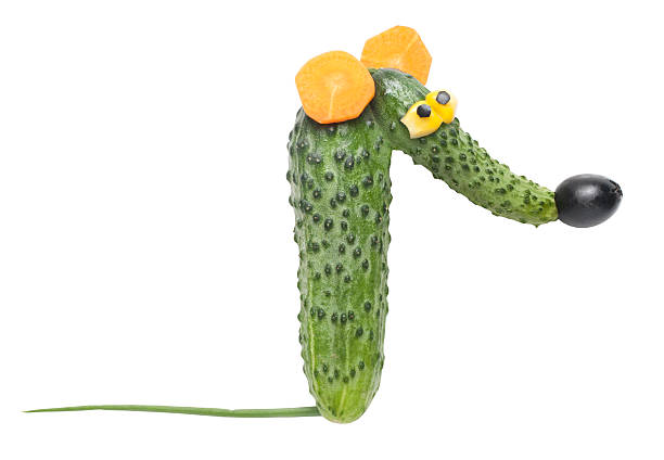 istock Rat mane of cucumber 488006730