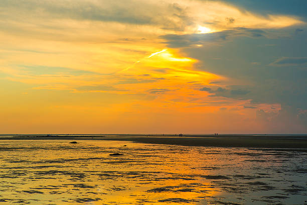 bassa marea sulla appartamenti di brewster, cape cod - brewster foto e immagini stock