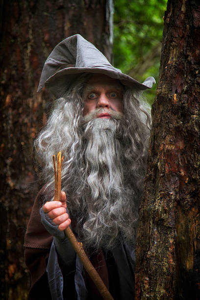 istock mature man in wizard costume peeping out from behind tree 488010774