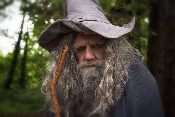 istock mature man in wizard costume surrounded by woodland 488011130