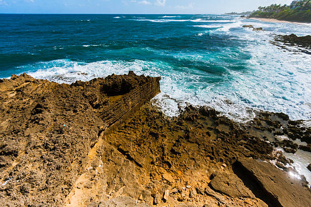 istock Seashore in Puerto Rico 488011398