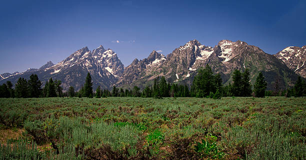 The Teton Range From Jackson Hole Wyoming A panoramic view of the central Teton Range from Jackson Hole, in Grand Teton National Park, Wyoming, USA. michael owen stock pictures, royalty-free photos & images