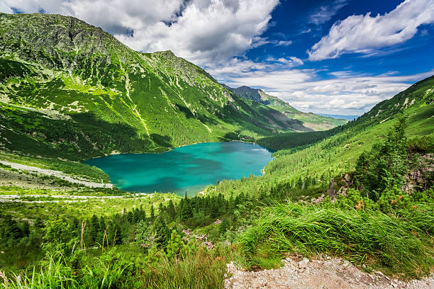 istock Wonderful pond in the Tatra Mountains at summer 488013932
