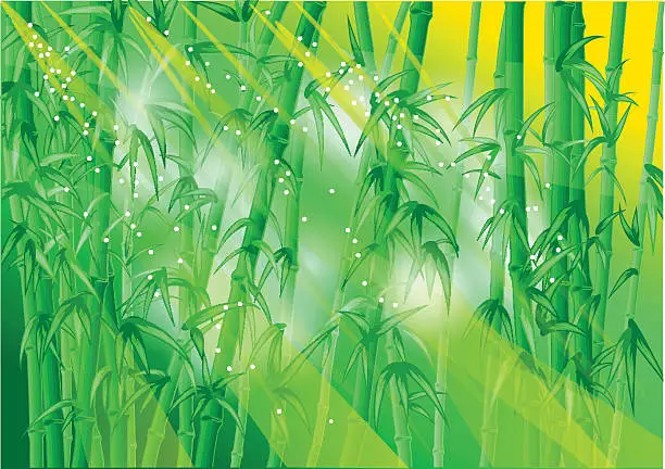 Vector illustration of bamboo forest