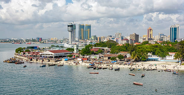 istock Panorama of Dar Es Salaam 488017050