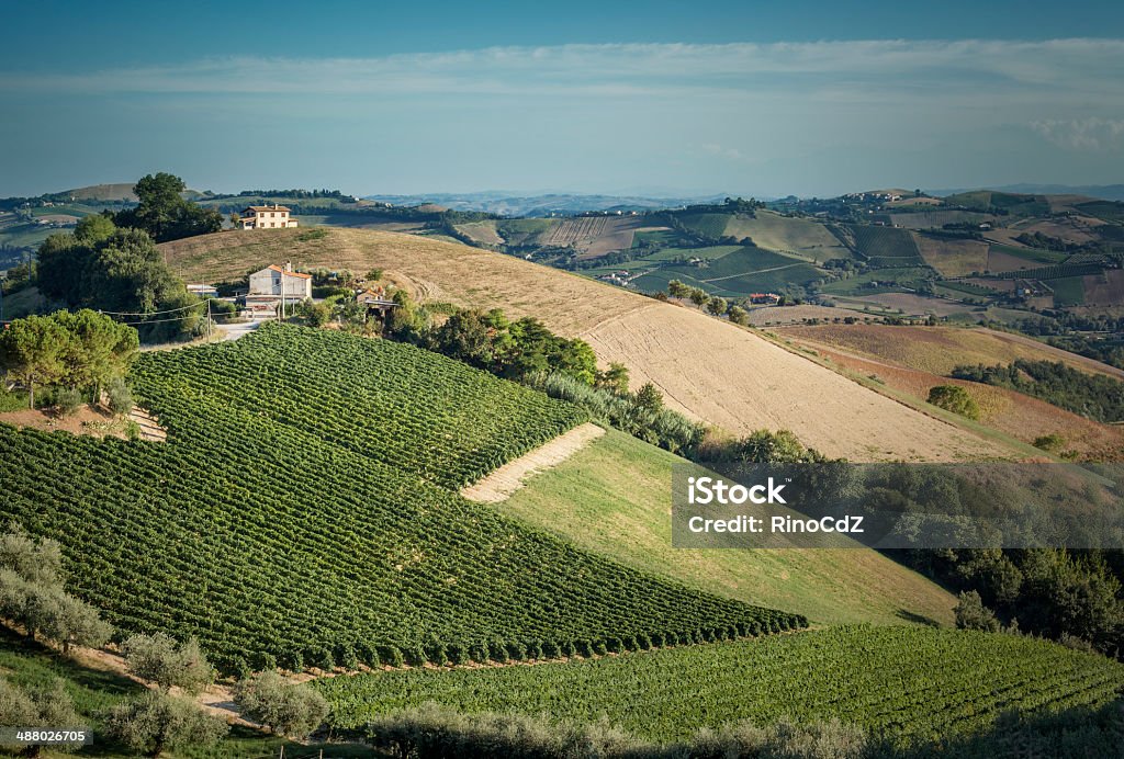 Paysage d'Italie, Vignette - Photo de Marches - Italie libre de droits