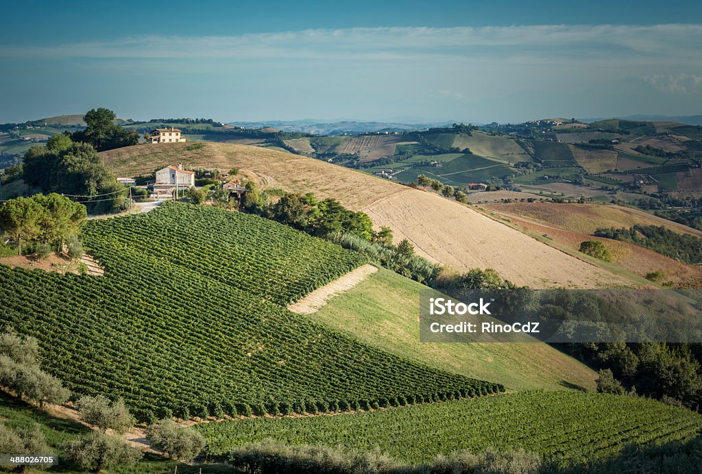 Paesaggio italiano, Vignettatura - Foto stock royalty-free di Azienda vinicola
