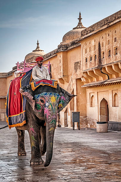 Jaipur, India - March 16, 2014: Guide with his elephant exiting Amber (Amer) Fort, heading to the foothill to pick up new tourist groups. 