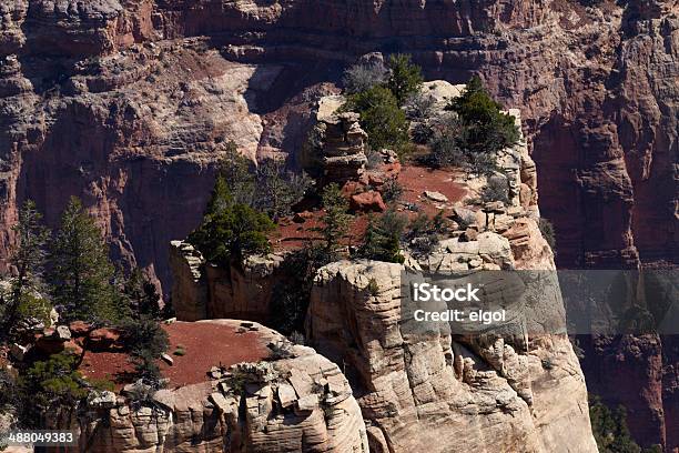 Grand Canyon North Rim Roosevelt Punkt - zdjęcia stockowe i więcej obrazów Ameryka - Ameryka, Ameryka Północna, Bez ludzi