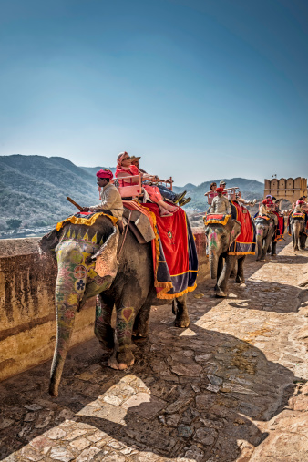 Jaipur, India - March 16, 2014: Caravan of guides, elephants and tourists slowly ascending toward the Amber (Amer) Fort in Jaipur, Rajasthan.