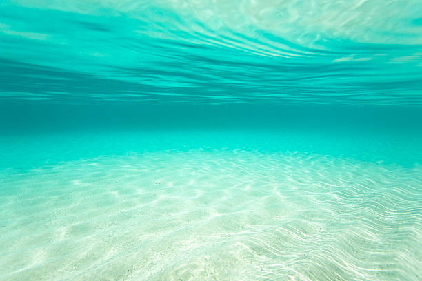 istock underwater seascape with white sand bottom in the Caribbean 488050191