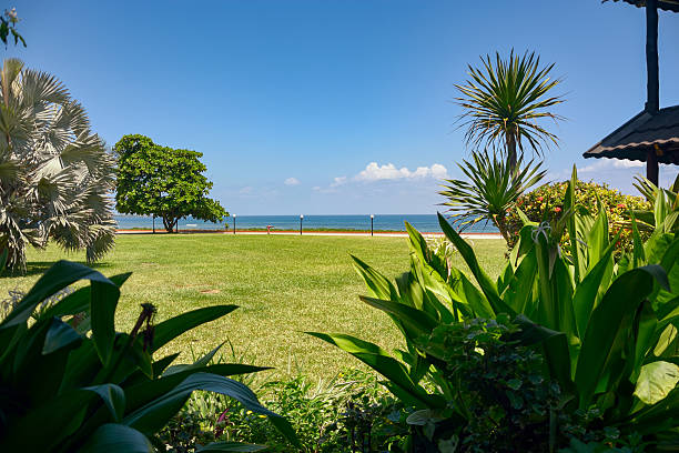 istock Shores of Dar es Salaam 488050800