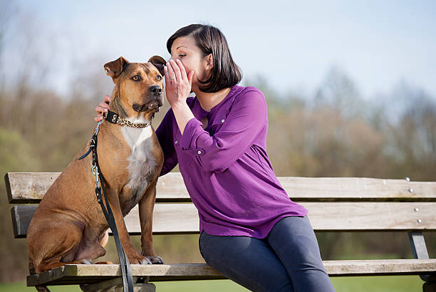 Junge Frau mit Hund auf der Bank – Foto