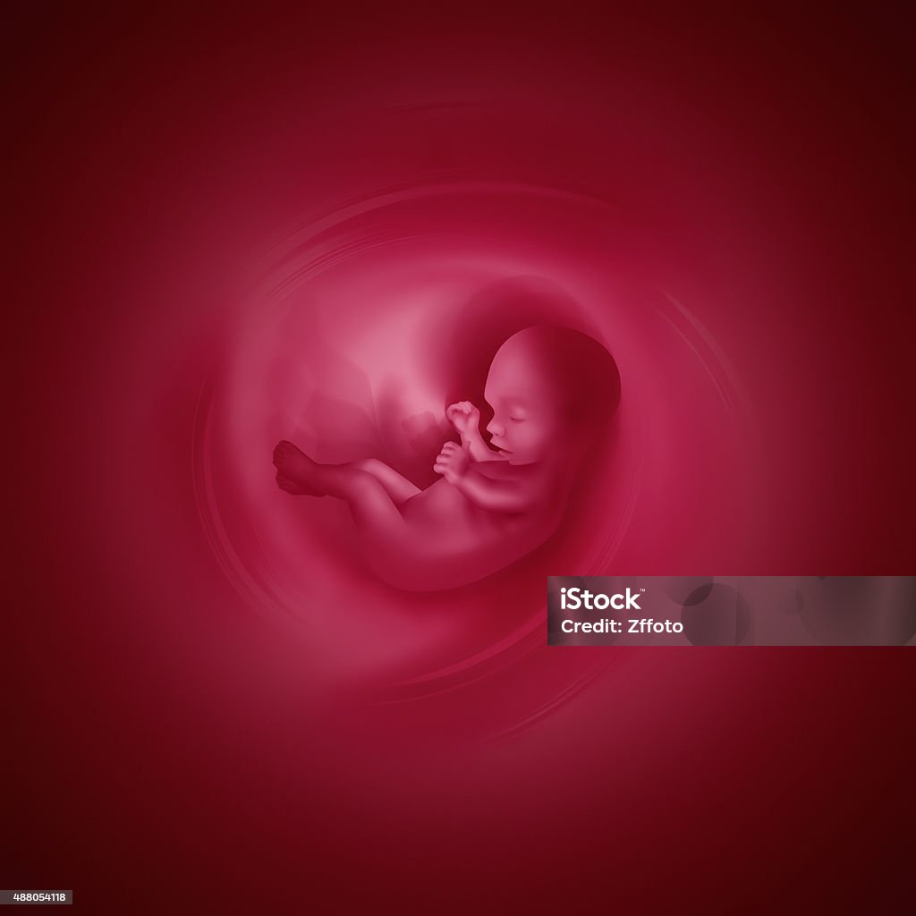 Embryo Medical abstract background with embryo Fetus Stock Photo