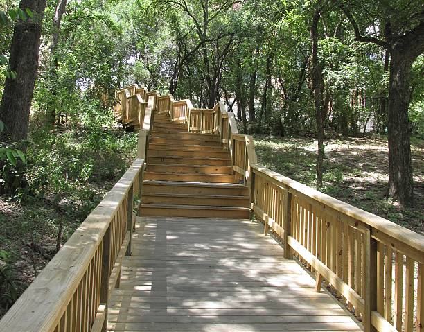 istock Wooden staircase in the wooded forest. 488056694