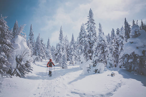 женщина ходьба и снегоступы в зимний лес пейзаж - winter snowshoeing running snowshoe стоковые фото и изображения