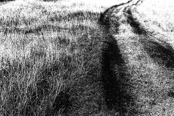 istock dirt road in field (black & white) 488057226