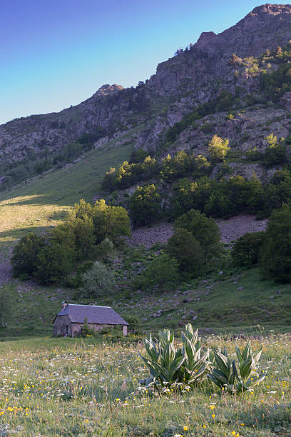 Country house at Vall d'Aran stock photo
