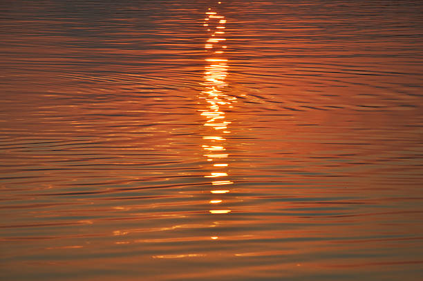 istock Colorful surface of a sea at sunrise 488058996