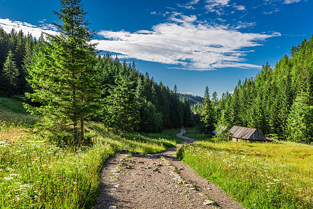 istock Beautiful valley in the mountains at summer 488059090