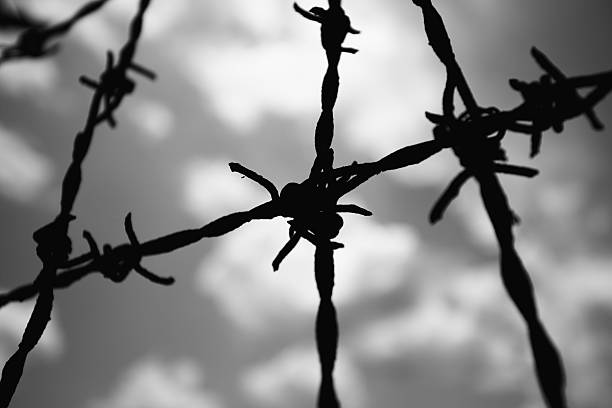 Barbed wire Barbed wire fence alambrada stock pictures, royalty-free photos & images