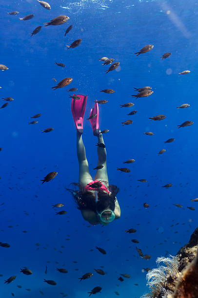 istock beautiful girl underwater 488059624